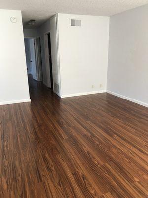 Living room flooring, also throughout the condo and painting