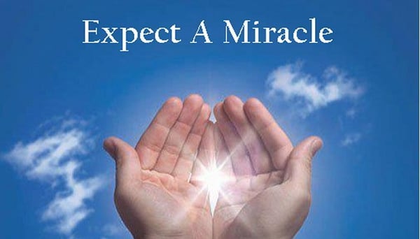 I see miracles happen everyday.  I am amazed at the what the body can do when put into balance and harmony.