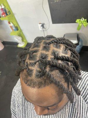 Adult Loc retwist and two strand