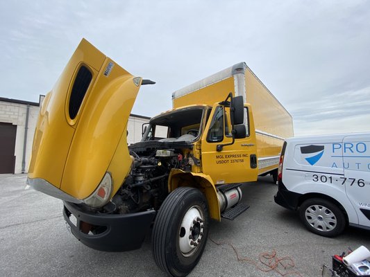 2013 freightliner M2 Windshield replacement