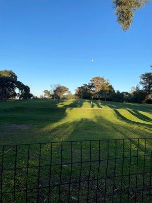 Side of the golf course on Eucalyptus