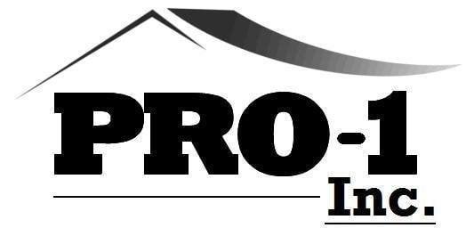 Pro 1 Construction