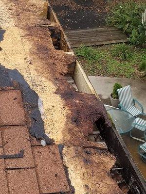 This is what happens when shingles are not installed correctly