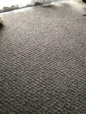 Amazing Berber Carpet came up looking like new!!!