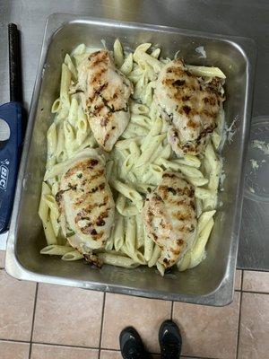 Chicken alfredo