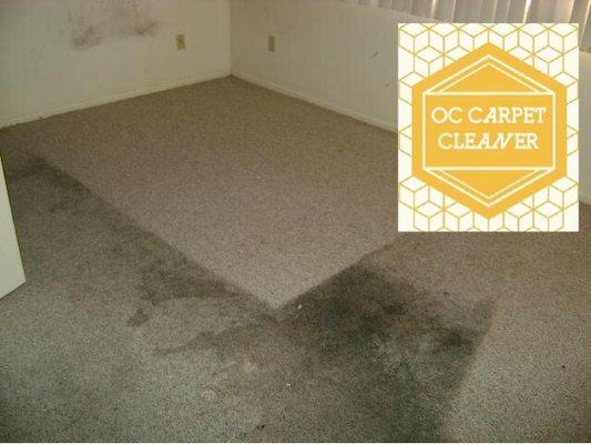 OC Carpet Clean