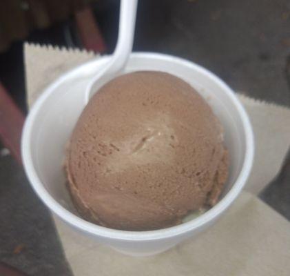 Homemade chocolate ice cream was delicious.