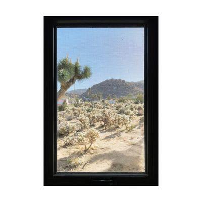 Framed view of scenery