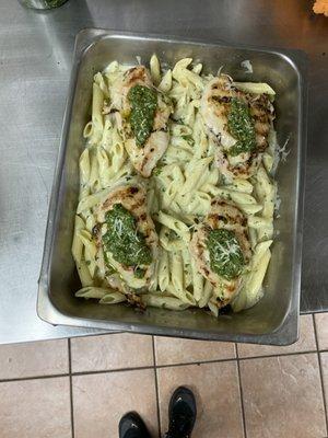 Chicken pesto