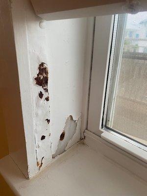 Water leaks, rust and sheetrock damage.