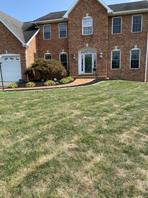 Complete transformation of front lawn with stone edging added