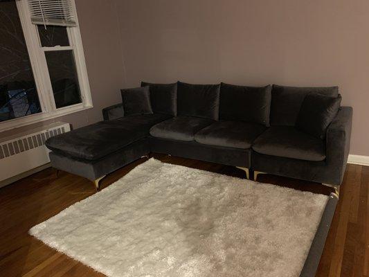 Velvet Sectional and rug