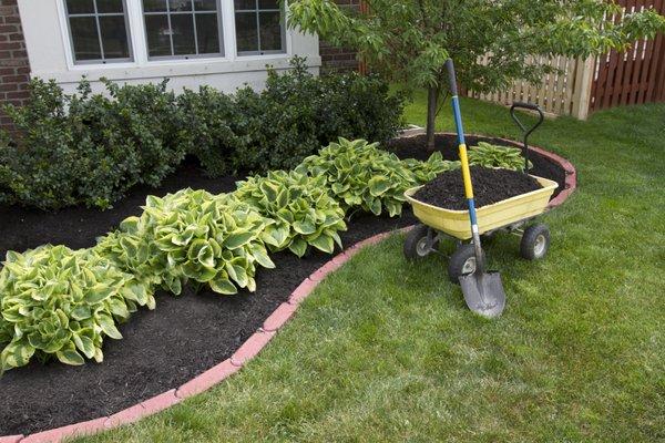 Freshly laid premium black mulch amplifying this beautiful landscape.