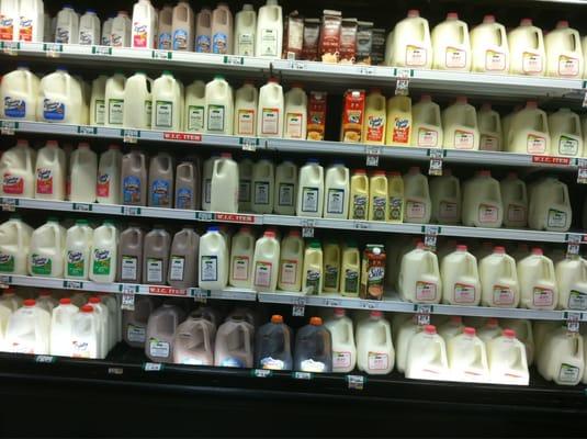 They do have lots of milk!