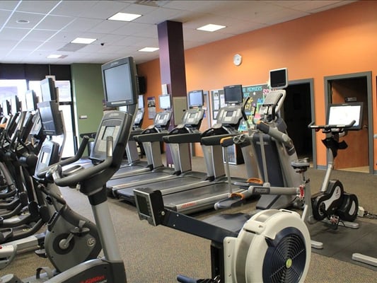 part of the cardio area