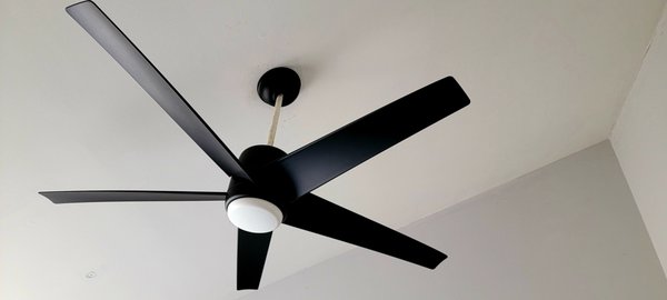 Ceiling fans