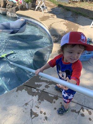 Little pool boy