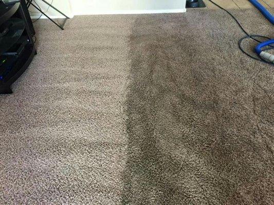 During cleaning photo of filthy carpet