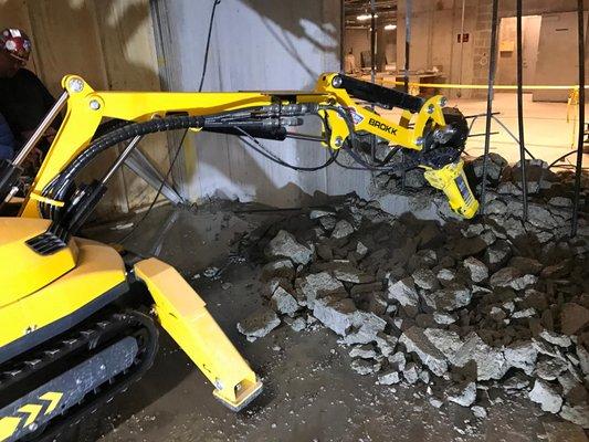 Robotic Demolition