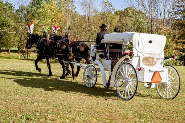 A couple being whisked away  by horse and carriage right after saying I do.