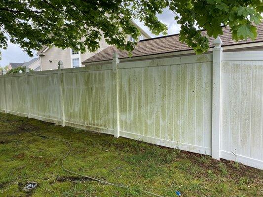 Before - Vinyl Fence Cleaning