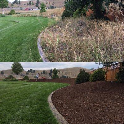 Picked weeds in abandoned bed, and replace it with 5inches of soil pep