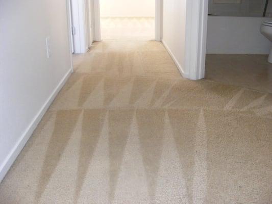 Call Us! We provide a professional carpet cleaning for your home or office. Stain and spot removal, pet odor elimination, red...