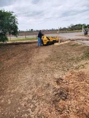 Stump grinding