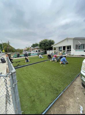 A team working on my front yard