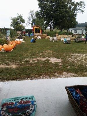 Fall Festival and pumpkin patch