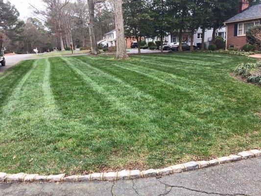 Fall leaf clean up and grass cut