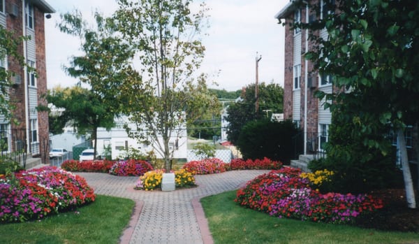 Courtyard behind building 479