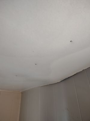 this is a picture of the living room celling caving in from a leak that took 2 months to fix... black mold is 100% there