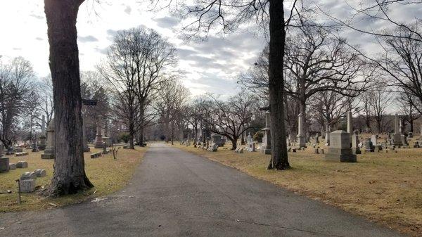 Section 8 on the right, Section 9 on the left. 'Zoom in' photo to see small metal signs posted on the trees.