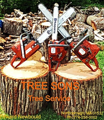 Tree Sons Tree Service