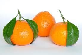 Welty Mandarins