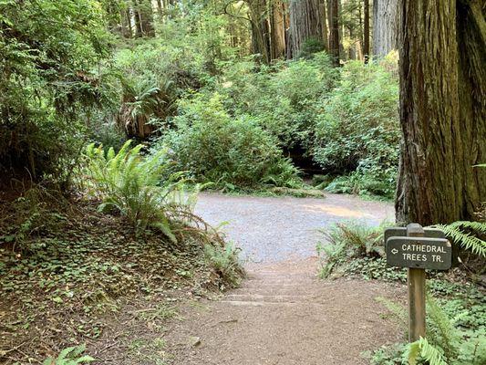 The trail sign crossing Cal Barrel Road.