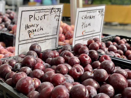 Pluot & Cherry Plums