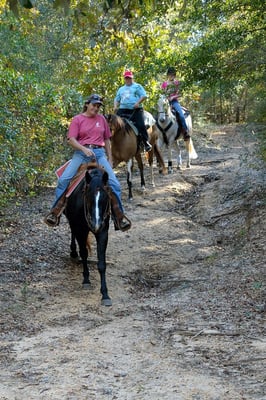 I'm not sure we could have walked down this ravine, but the horses had no problem!