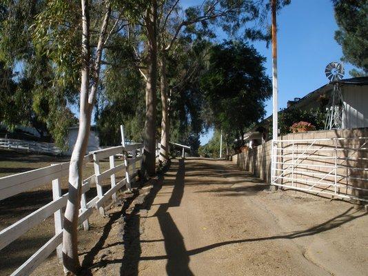 Retirement Horse  Boarding Chino Hills, Ca