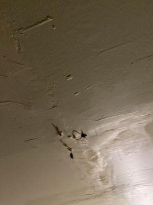 Mushrooms growing in our ceiling since Oct and never removed since our stay.