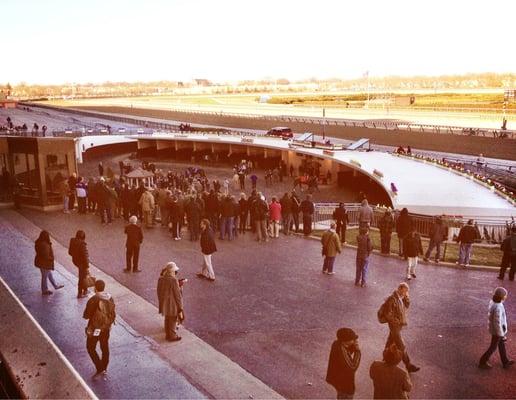 Paddock from above