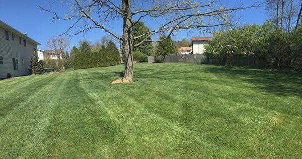 Stripes from lawn mowing