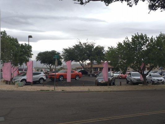 Sisbarro Mitsubishi is Tough Enough To Wear Pink!