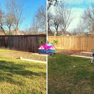 Fence Cleaning