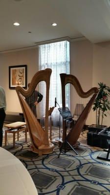 Harp duo at the Hyatt corporate event