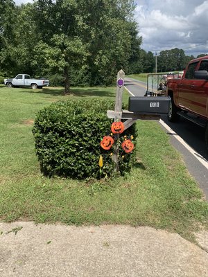 Freshly trimmed bushes