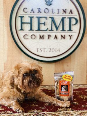 Pet CBD Treats