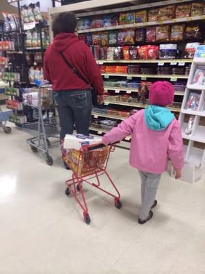 Pint size carts for teaching your wee ones how to shop and not go ballistic!