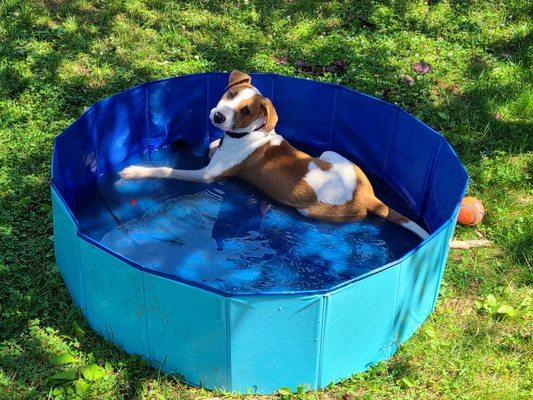 He surprised us today by jumping in!